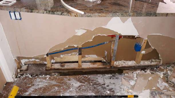 Best Flood damage cleanup  in Battle Creek, NE