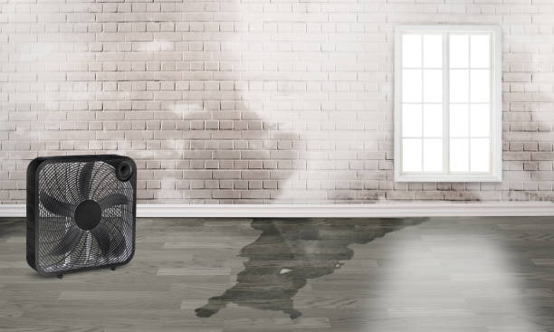 Best 24-hour water damage restoration  in Battle Creek, NE