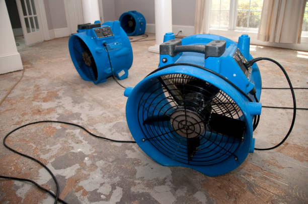 Best Water damage restoration near me  in Battle Creek, NE