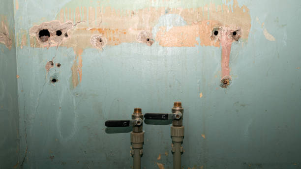 Best Residential water damage restoration  in Battle Creek, NE