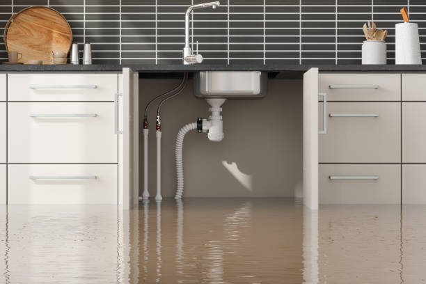 Best Water damage restoration near me  in Battle Creek, NE