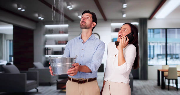 Best Flood restoration services  in Battle Creek, NE